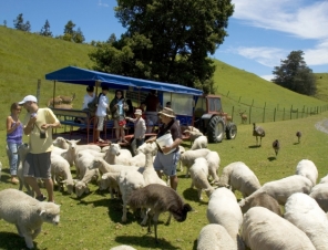 Farm Tour